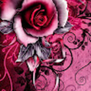 Meet your Posher, Damsel